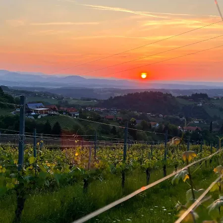 Schilcherland Greisdorf