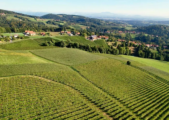 Schilcherland 아파트 *